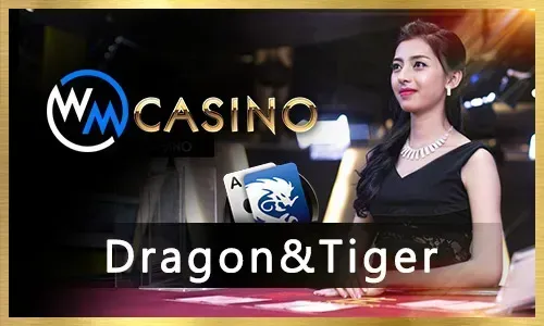 PH365 Bingo Winning Strategies